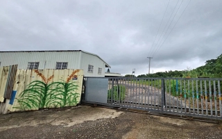 新坡觀音高中(甲建+農地)810坪